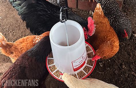 Manna Pro Harris Farms Plastic Feeder Review 2025 Chicken Fans