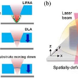 A Schematic Illustration Of The Procedure For The Fabrication Of 3D