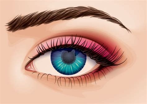 Creating A Detailed Eye From Stock In Adobe Illustrator Adobe