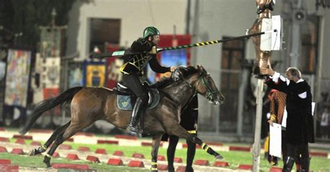 Ascoli Piceno Cavalla Abbattuta Dopo La Caduta Alla Quintana Il