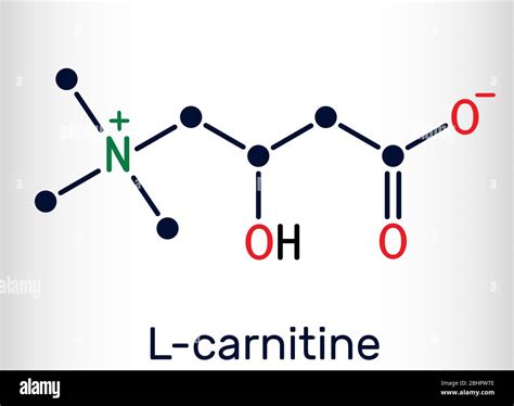 Carnitine Hi Res Stock Photography And Images Alamy