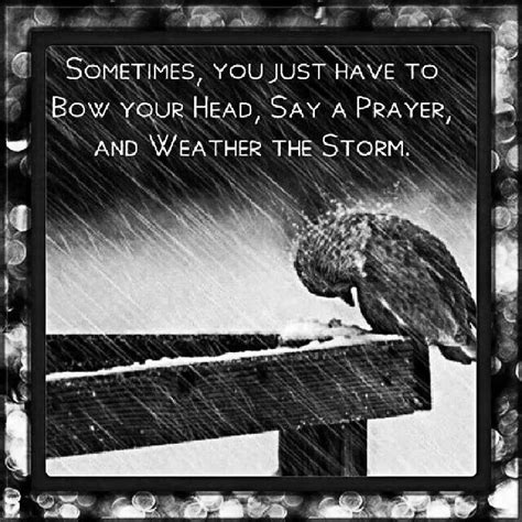 Weather The Storm Quotes. QuotesGram