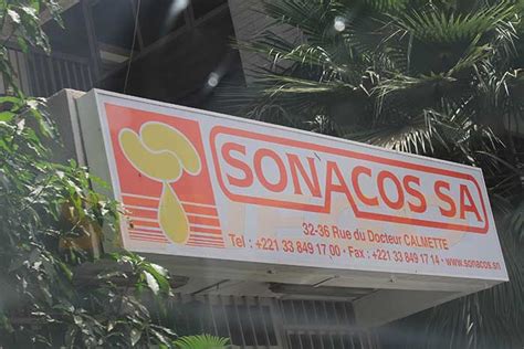 Campagne De Commercialisation 2024 2025 La SONACOS Vise Une Collecte