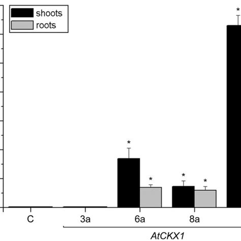 Qrt Pcr Analysis Of Atckx1 Transgene Expression In Shoots And Roots Of