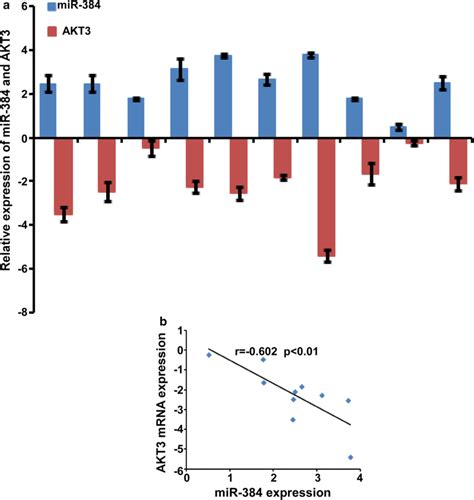 Restoration The Expression Of Akt3 Played Important Roles In