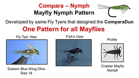 Tying The Compara Nymph Fly Pattern The 1 Pattern You Need To Imitate