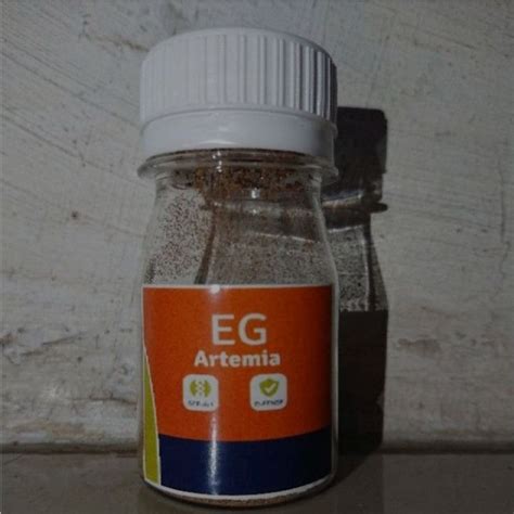 Jual ARTEMIA EG 10GR SEP ART INVE Shopee Indonesia