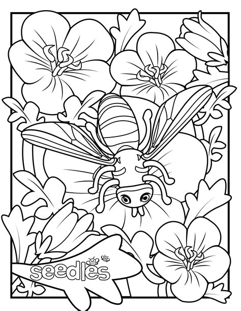 Curriculum Resources - Seedles