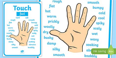 Touch Vocabulary Display Poster (Lehrer gemacht) - Twinkl