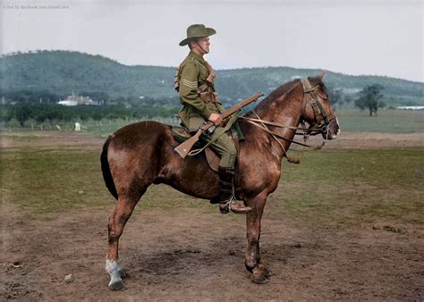 Sergeant Clement Edward Hill 3rd Light Horse Regiment Of The