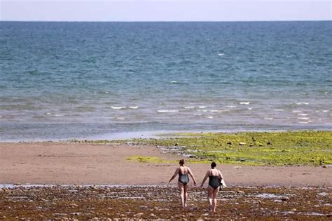 Newcastle beach water checks call fails despite bacteria level alerts ...