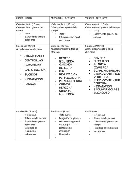 Programacion DEL Entrenamiento Plan Semanal Boxeo LUNES FISICO