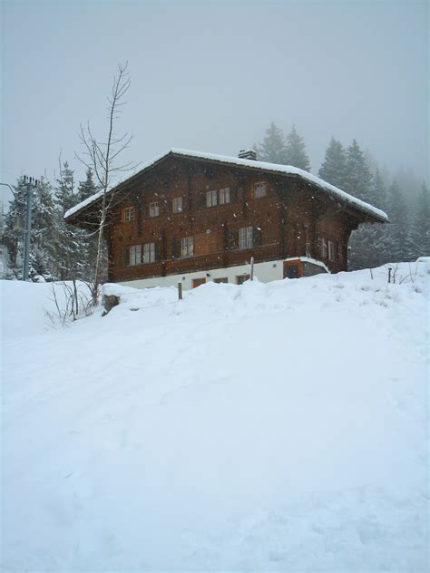 To Europe With Kids: Photo Friday: Swiss Chalets