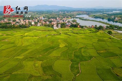 道县白马渡镇最大工程大山谷图库