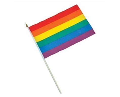 Rainbow Pride Stick Flag 12x18 In