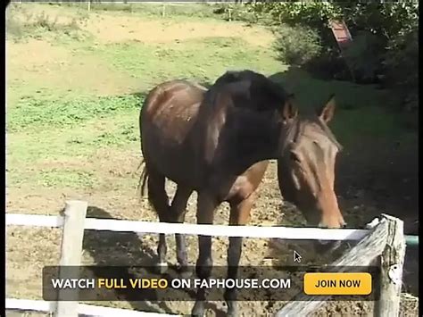 Cavalieri Del Sesso Scene 01 Babe Babe Porn XHamster