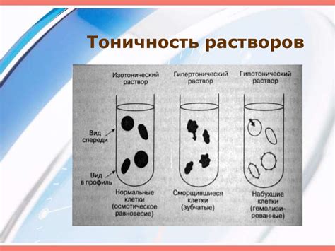 Жидкостные компартменты - online presentation
