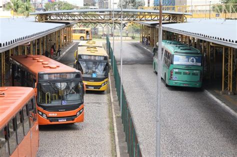 Ponta Grossa terá transporte público gratuito no dia das eleições dcmais