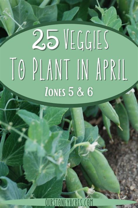 April Planting Guide Zones Our Stoney Acres Spring