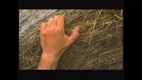 Erotische Marchen Chapter Free Giant Hd Porn B Xhamster