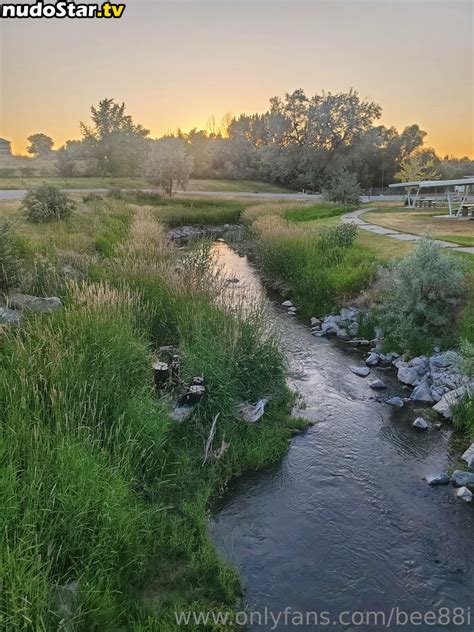 Bee88i Bee Bowve88 Nude OnlyFans Photo 55 Nudostar TV