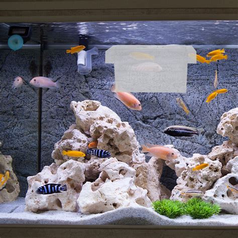 Fischz Chter Fisch Ei Schutz Brutkasten F R Aquarien Aquarium Ebay