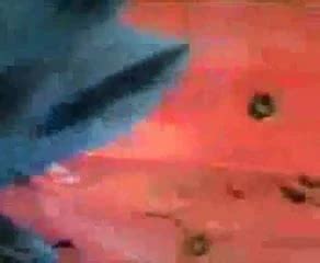 Busty Wife Sucking And Fucking Amateur Amateur Porn XHamster