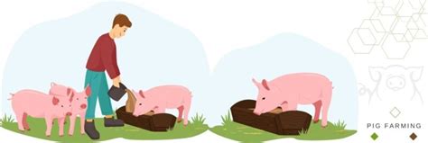 Duroc Pig Farming Guide: Raising this Valuable Meat-Improving Breed ...