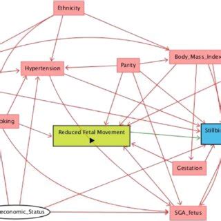 Directed Acyclic Graph Showing Relationship Of Potential Interactions