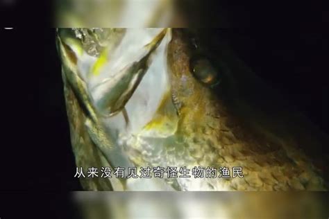 美人鱼被海水冲上岸，全村人过来围观，结果老人一眼认出是“它”全村人上岸结果