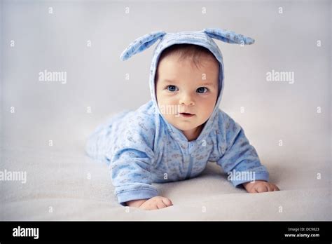 Cute Baby Bunny Hi Res Stock Photography And Images Alamy