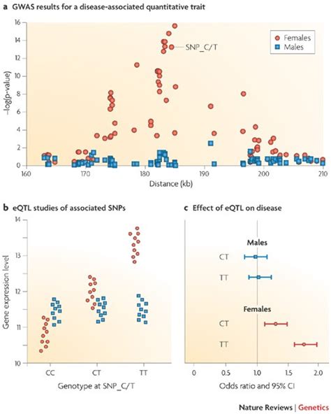 Sex Specific Genetic Architecture Of Human Disease Nature Reviews Genetics