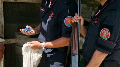 Sull Isola Di Ischia Controlli Anti Bracconaggio Dei Carabinieri Della