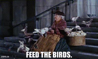 YARN Feed The Birds Mary Poppins 1964 Video Clips By Quotes