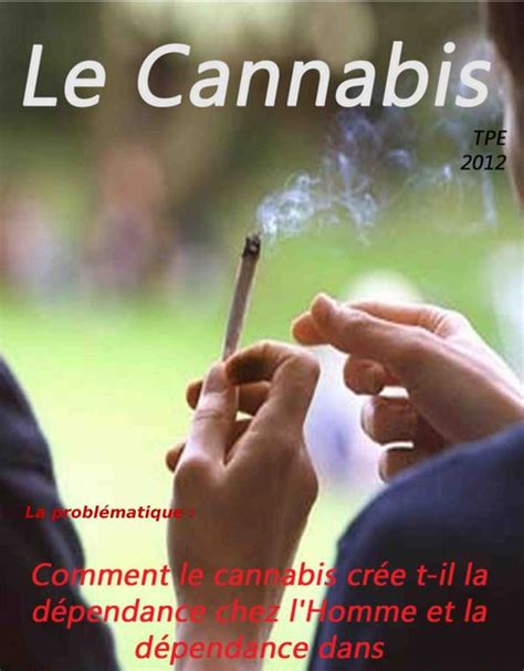 Notre TPE Du Jour Le Cannabis