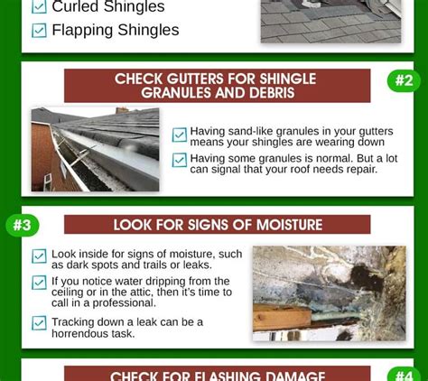 Storm Damage Infographic - American Dream Restoration, LLC