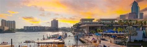 Pay Utility Bill | City of Tampa