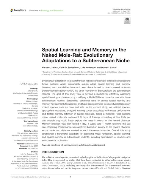 PDF Spatial Learning And Memory In The Naked Mole Rat Evolutionary Adaptations To A