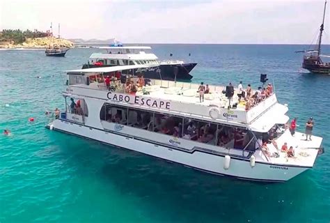 Snorkeling Tours Cabo San Lucas | Great Cruise Discounts!