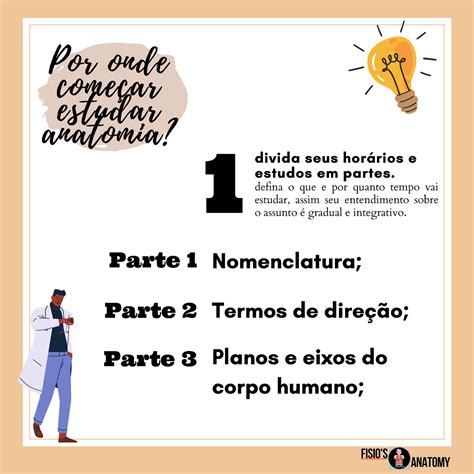 Estudar Anatomia Por onde começar estudar anatomia 1 divida seus