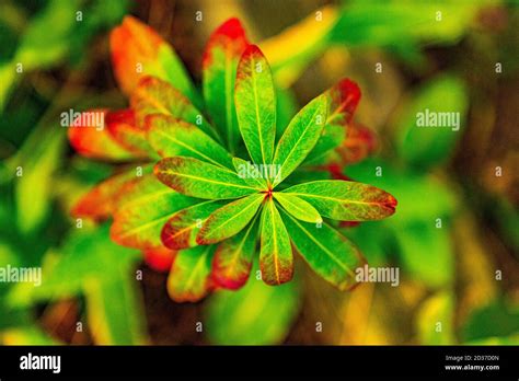 Seasons chaning hi-res stock photography and images - Alamy