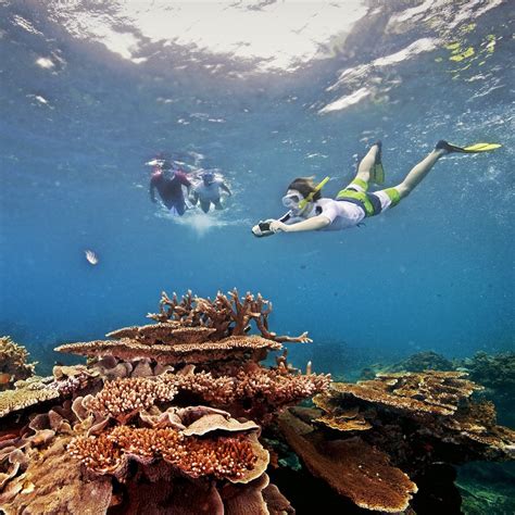 Cairns Great Barrier Reef Tours Non Swimmers