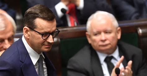 Nowy pomysł PiS W sieci wrze WP Wiadomości