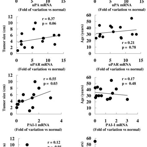 Immunohistochemistry Analysis Of UPA And UPAR Expression In Human