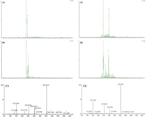 Polyphenol Phenylacetaldehyde Adducts In The Chemical Reaction Systems