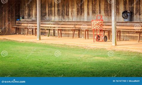 Full Baseball Basket And Dugout Stock Photo Image Of Dugout Baseball