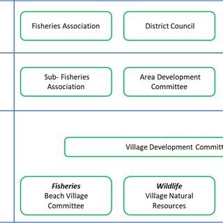 Malawi's decentralized local government structure showing linkages ...