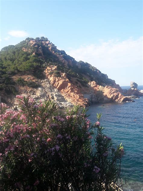 Summer days in Sardinia – Saltwater