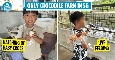 Long Kuan Hung Crocodile Farm Singapore