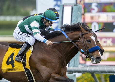 Cistron Returns Successfully in San Simeon